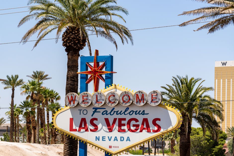 Las Vegas Officials Prepare for a High-Stakes Municipal Election Next Year