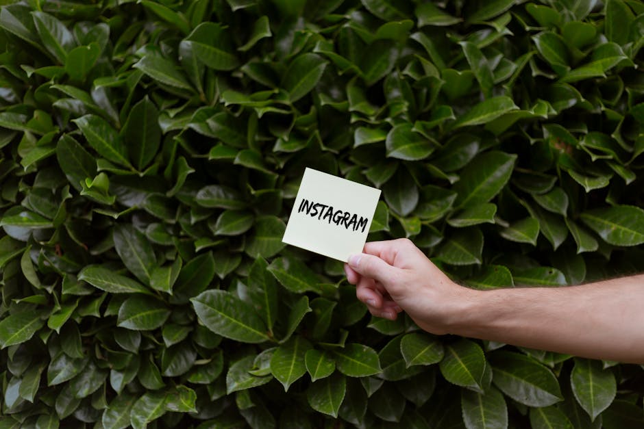 How to Leverage Instagram to Effectively Promote Your YouTube Videos